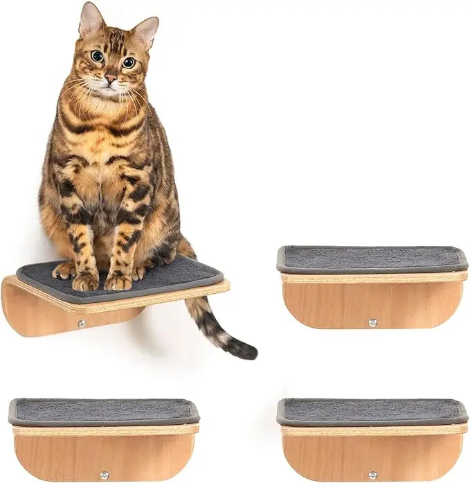 Fujian Hign Concerned Cat Wall Steps And Perch Furniture