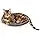 Fujian Hign Concerned Cat Wall Steps And Perch Furniture