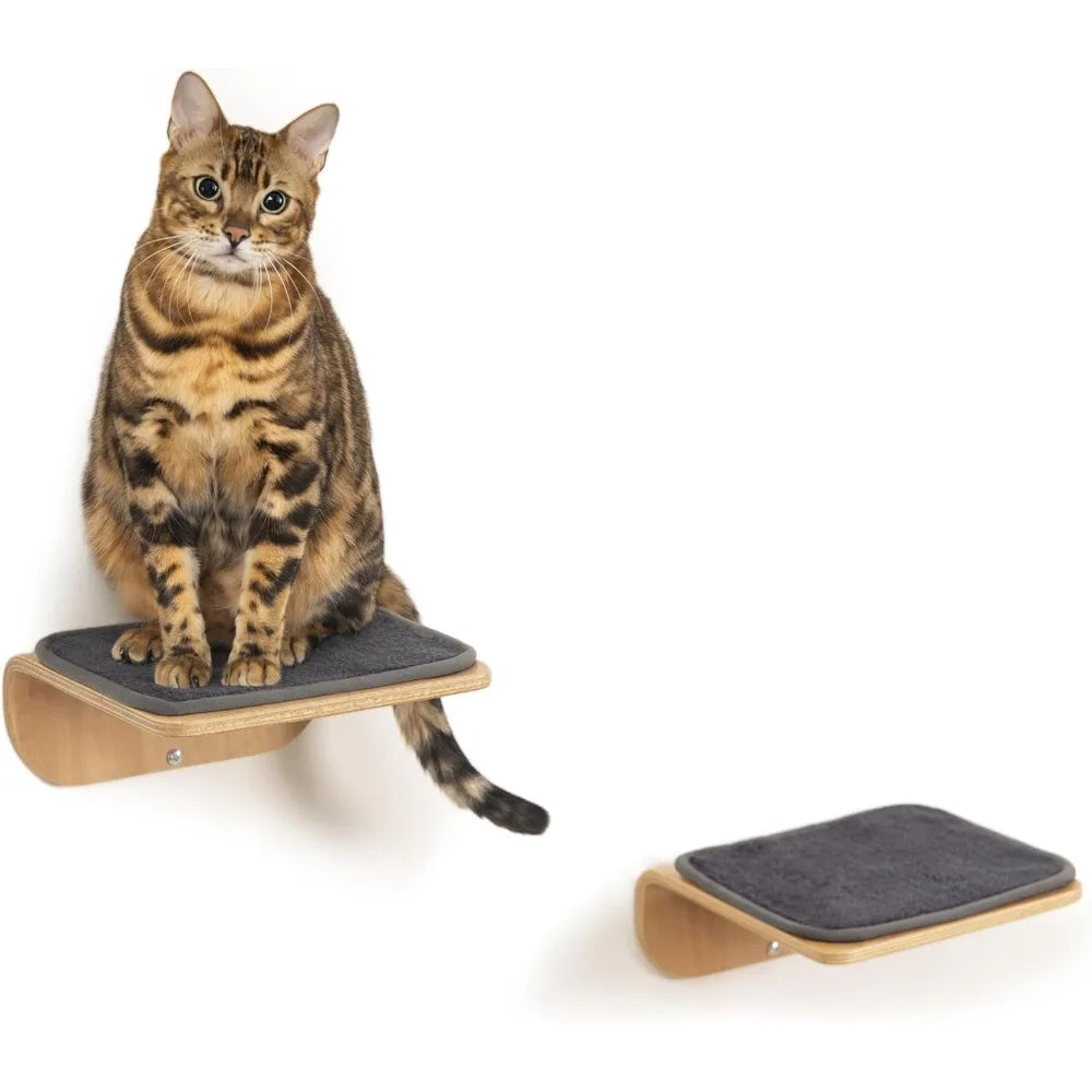 Fujian Hign Concerned Cat Wall Steps And Perch Furniture