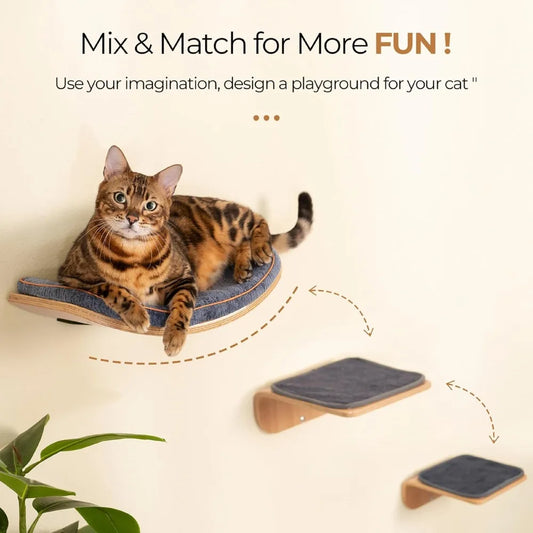 Fujian Hign Concerned Cat Wall Steps And Perch Furniture