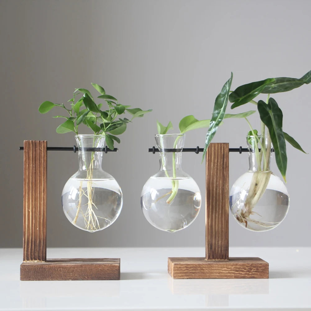 Function Propagation Terrarium With Exquisite Wooden Stand Hydroponic Bonsai Vase