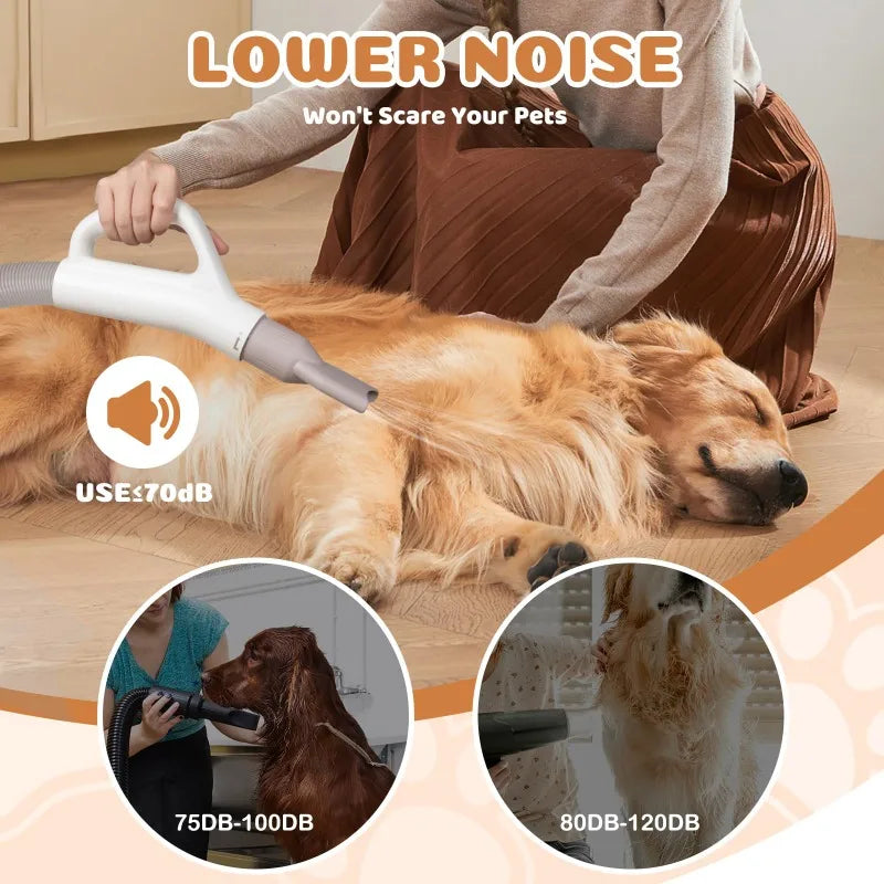 Hign-concerned Negative Ion Dog Dryer 4 In 1 Nozzles
