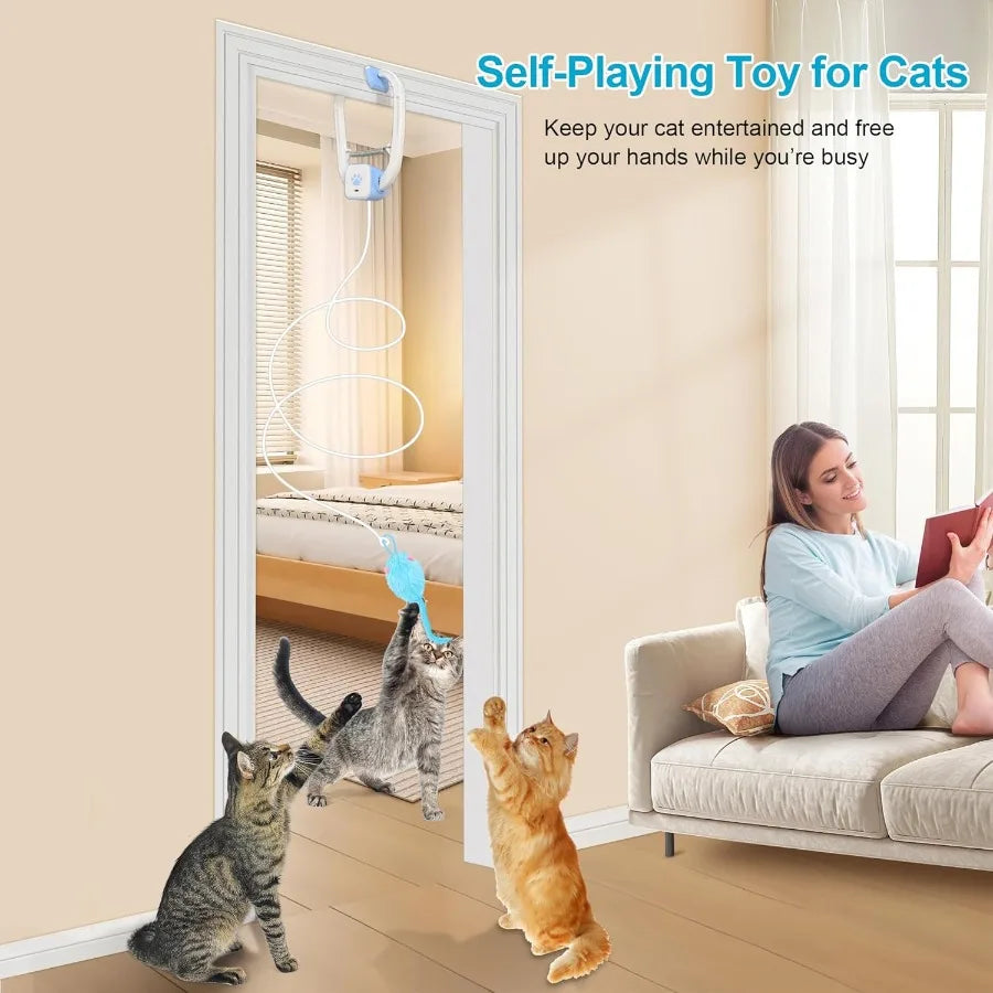 Guizhou Smart Interactive Cat Toy Remote Control USB Rechargeable