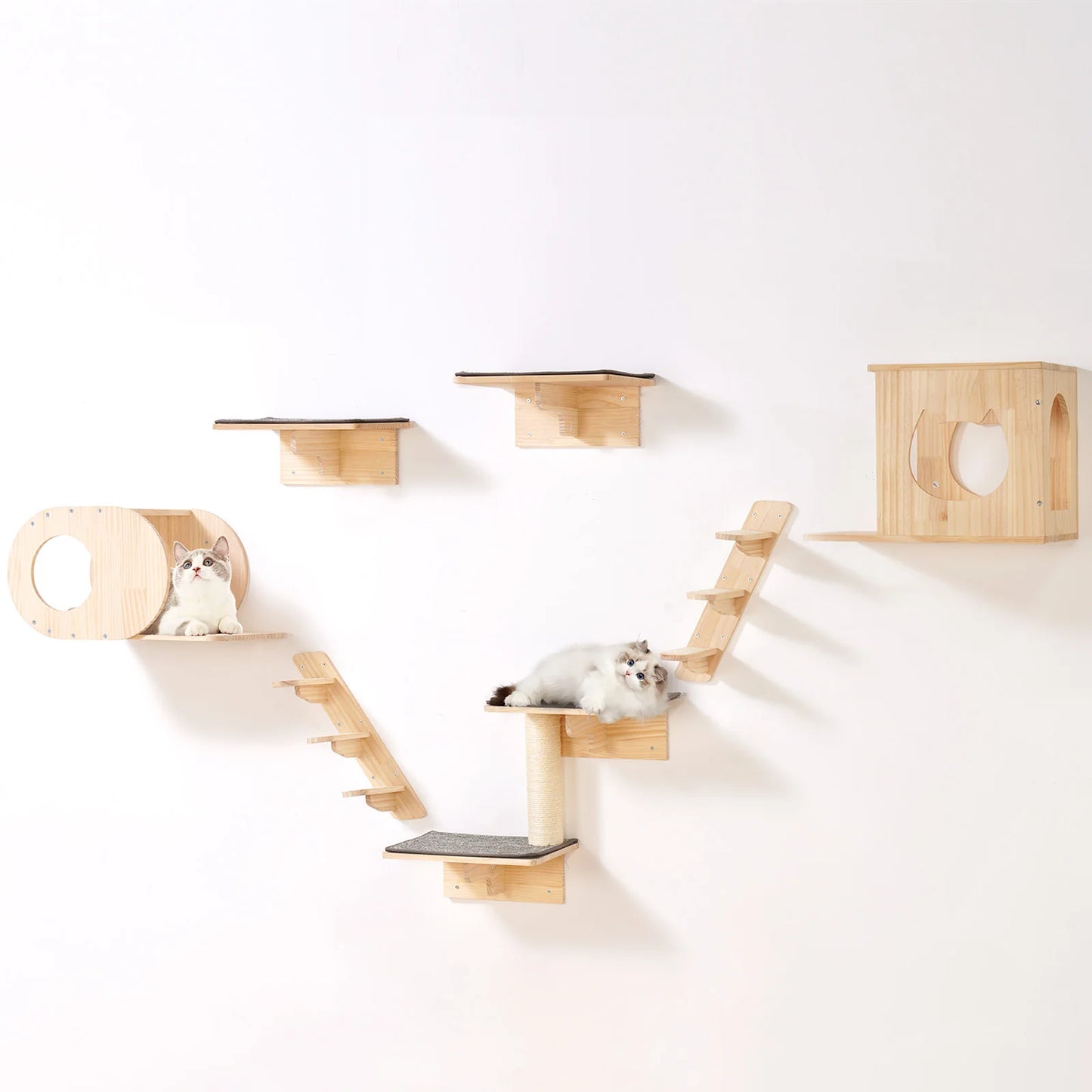 SucceBuy Wall Mounted Cat Shelves and Perches