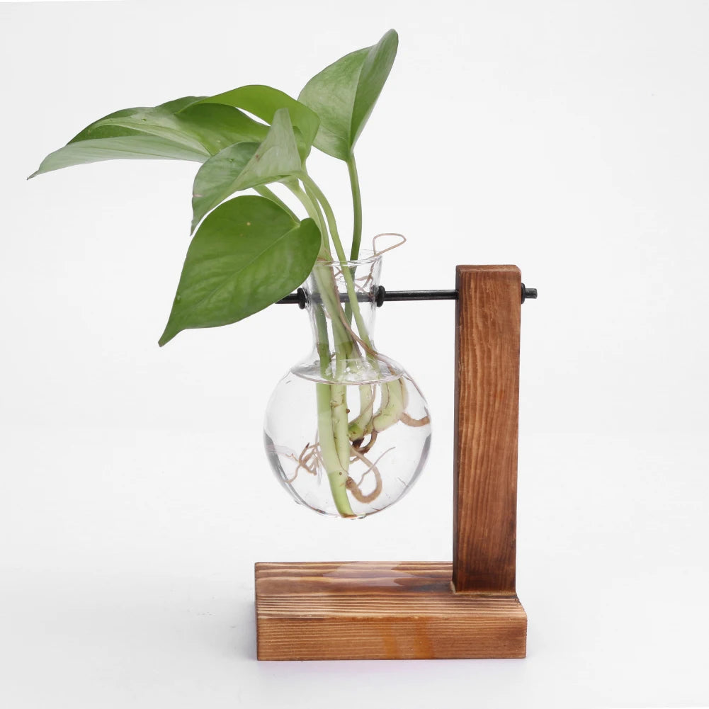 Function Propagation Terrarium With Exquisite Wooden Stand Hydroponic Bonsai Vase