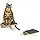 Fujian Hign Concerned Cat Wall Steps And Perch Furniture