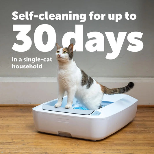 Automatic Self-Cleaning Cat Litter Box With Crystal Tray Odor Control