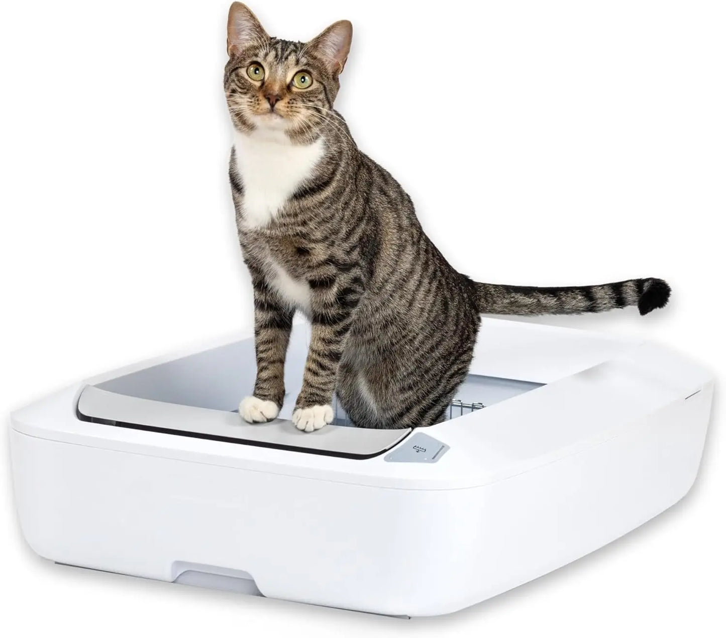 Automatic Self-Cleaning Cat Litter Box With Crystal Tray Odor Control