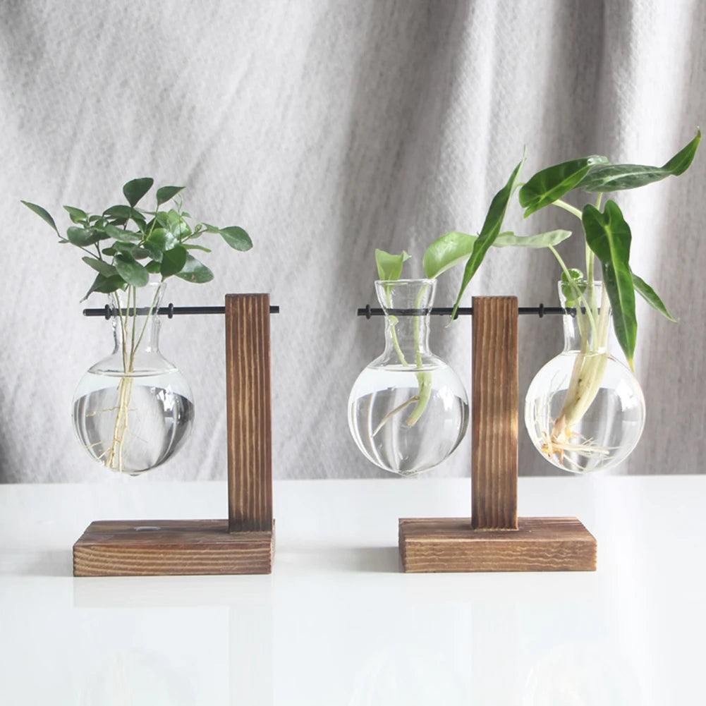 Function Propagation Terrarium With Exquisite Wooden Stand Hydroponic Bonsai Vase