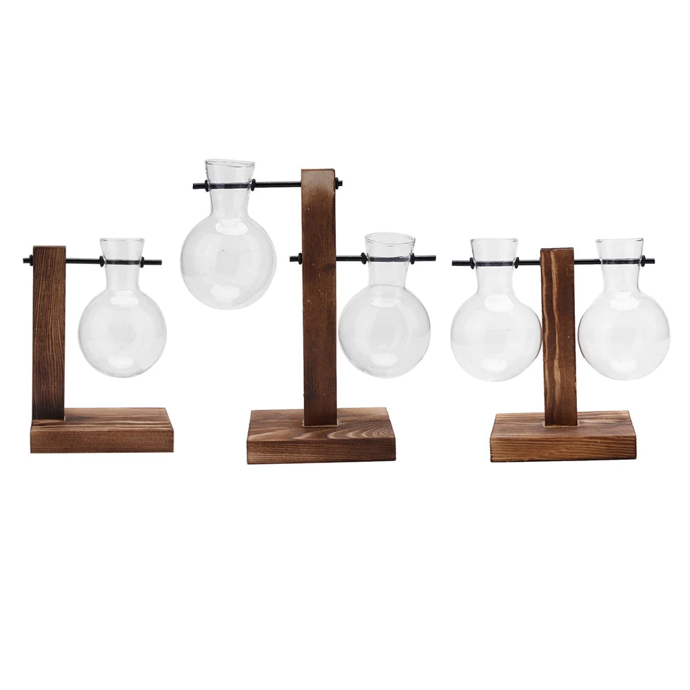 Function Propagation Terrarium With Exquisite Wooden Stand Hydroponic Bonsai Vase