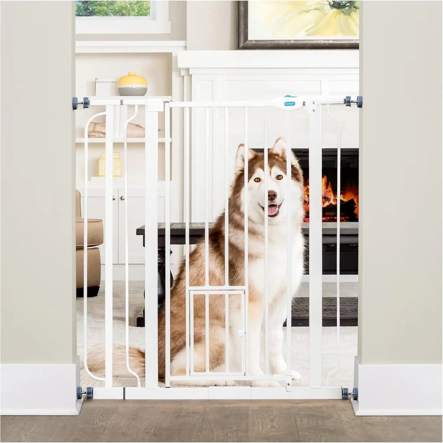 Walk Through Pet Gate With Small Pet Door Mounting Kit
