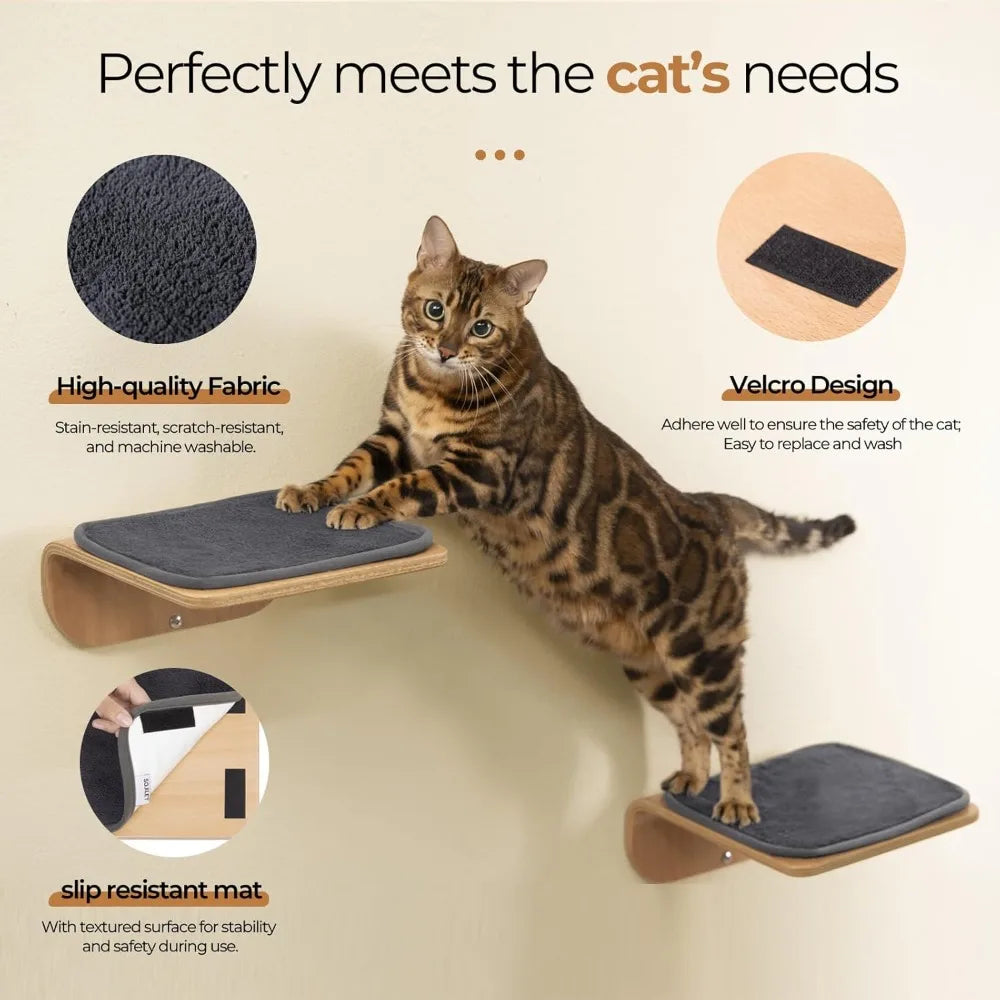 Fujian Hign Concerned Cat Wall Steps And Perch Furniture